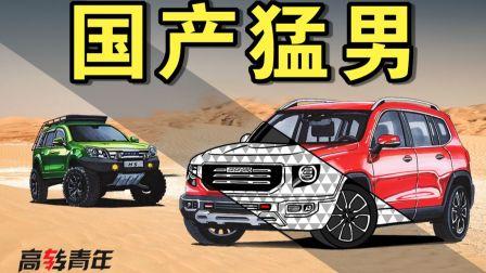 国产车开挂视频在线观看,在线观看惊心动魄！