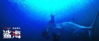 鲨鱼看电影国产在线观看,国产电影在线观影攻略