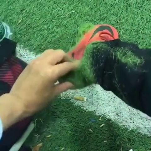 国产自偷在线拍草,揭秘网络偷拍现象背后的伦理困境