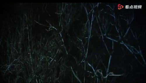 国产夜晚视频网站在线看,在线观影新体验