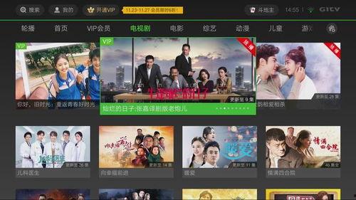 在线观看国产精品tv,在线观看盛宴