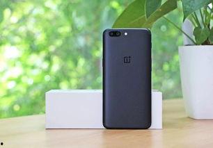 国产bv手机在线视频