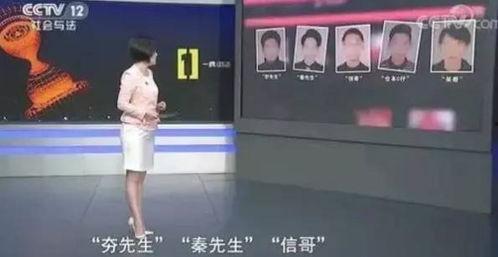 国产探花多在线播放,网络热播剧背后的魅力与热度解析